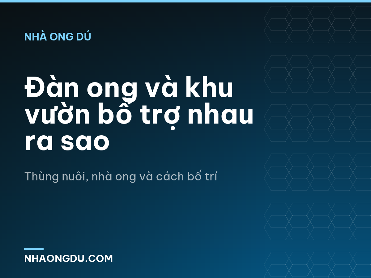 Đàn ong và khu vườn bổ trợ nhau ra sao