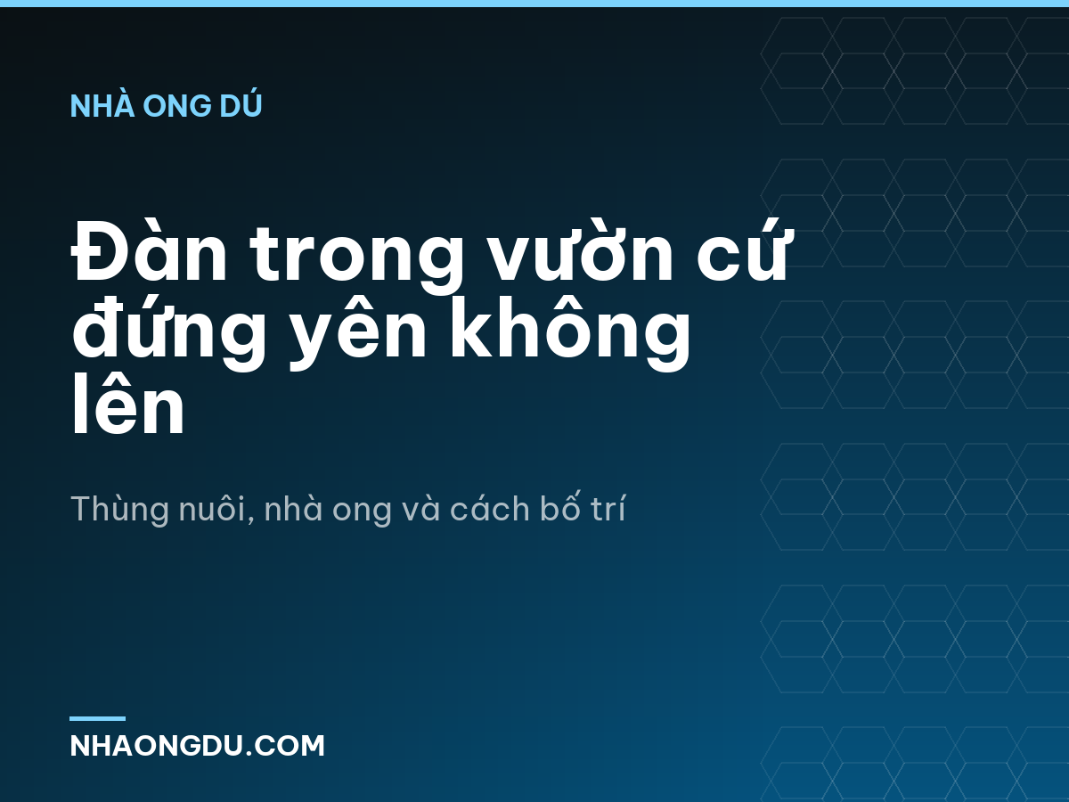 Đàn trong vườn cứ đứng yên không lên