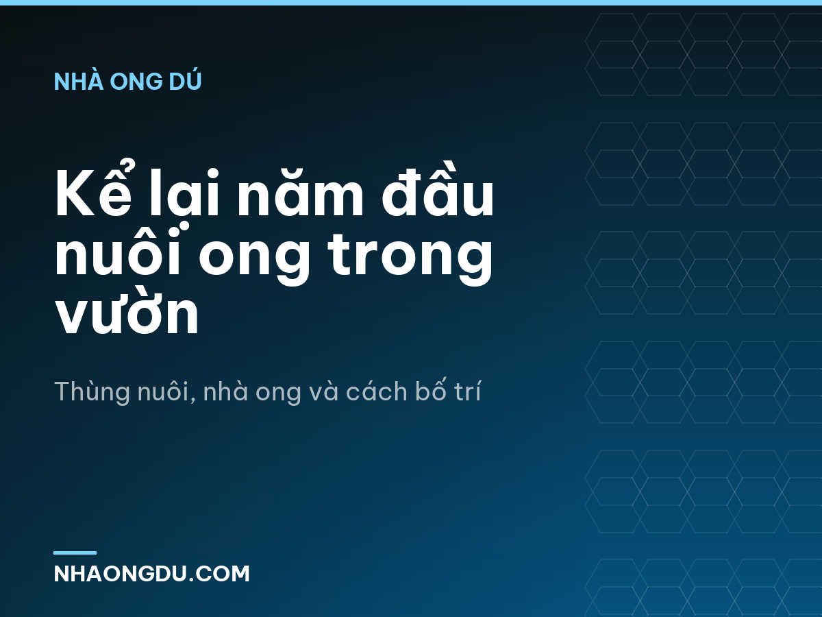 Kể lại năm đầu nuôi ong trong vườn