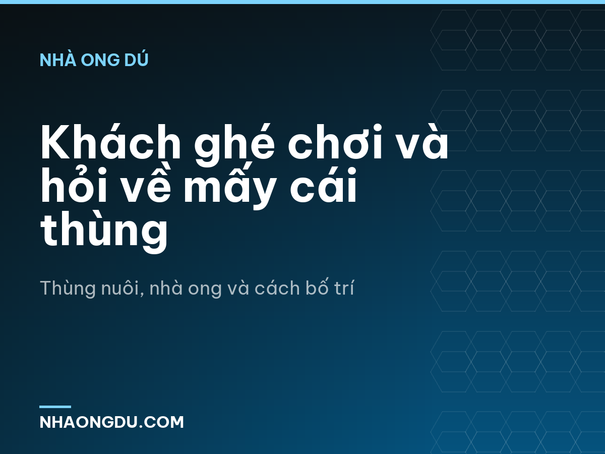 Khách ghé chơi và hỏi về mấy cái thùng