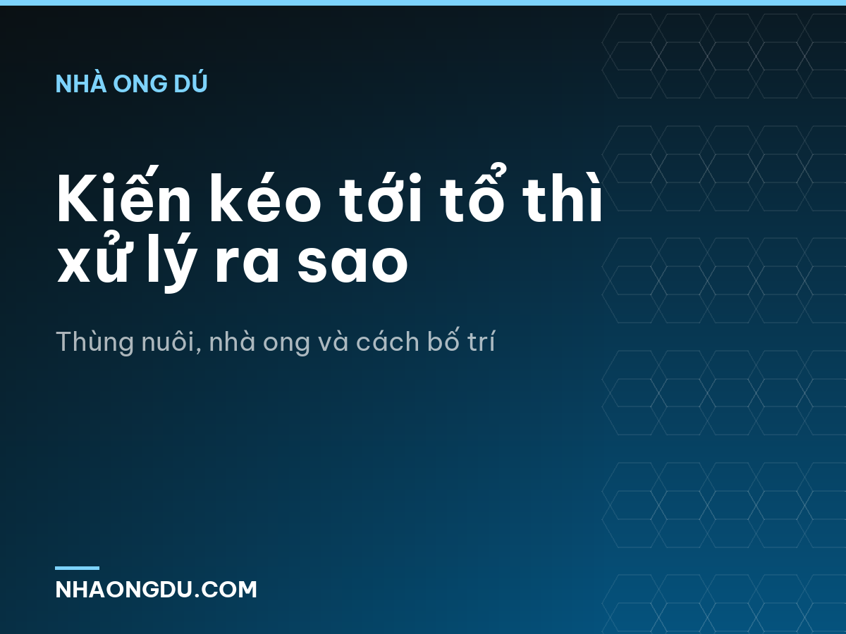 Kiến kéo tới tổ thì xử lý ra sao