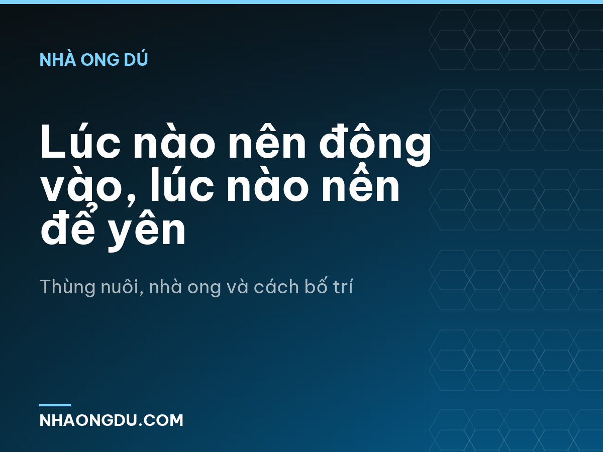 Lúc nào nên động vào, lúc nào nên để yên