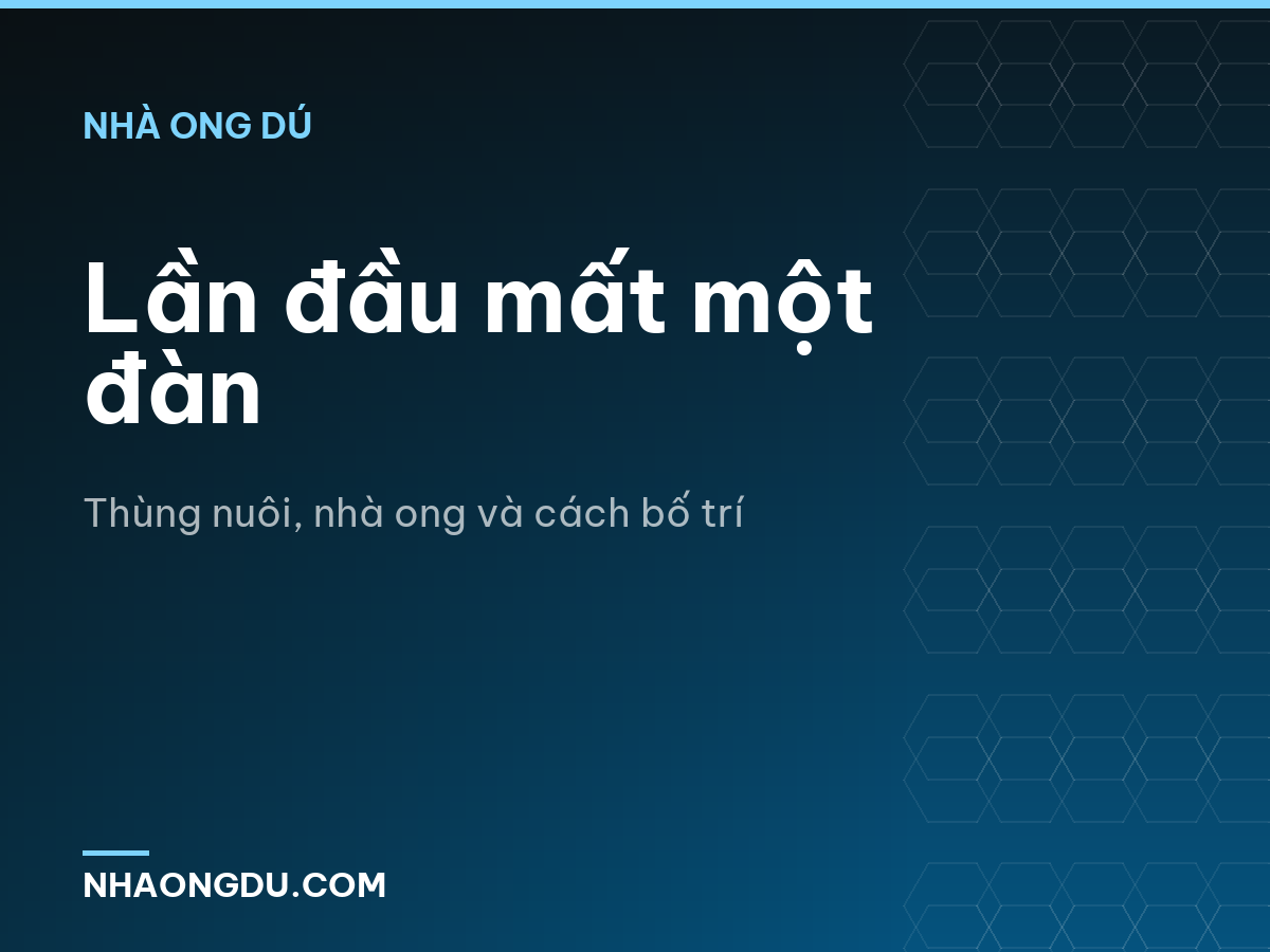 Lần đầu mất một đàn