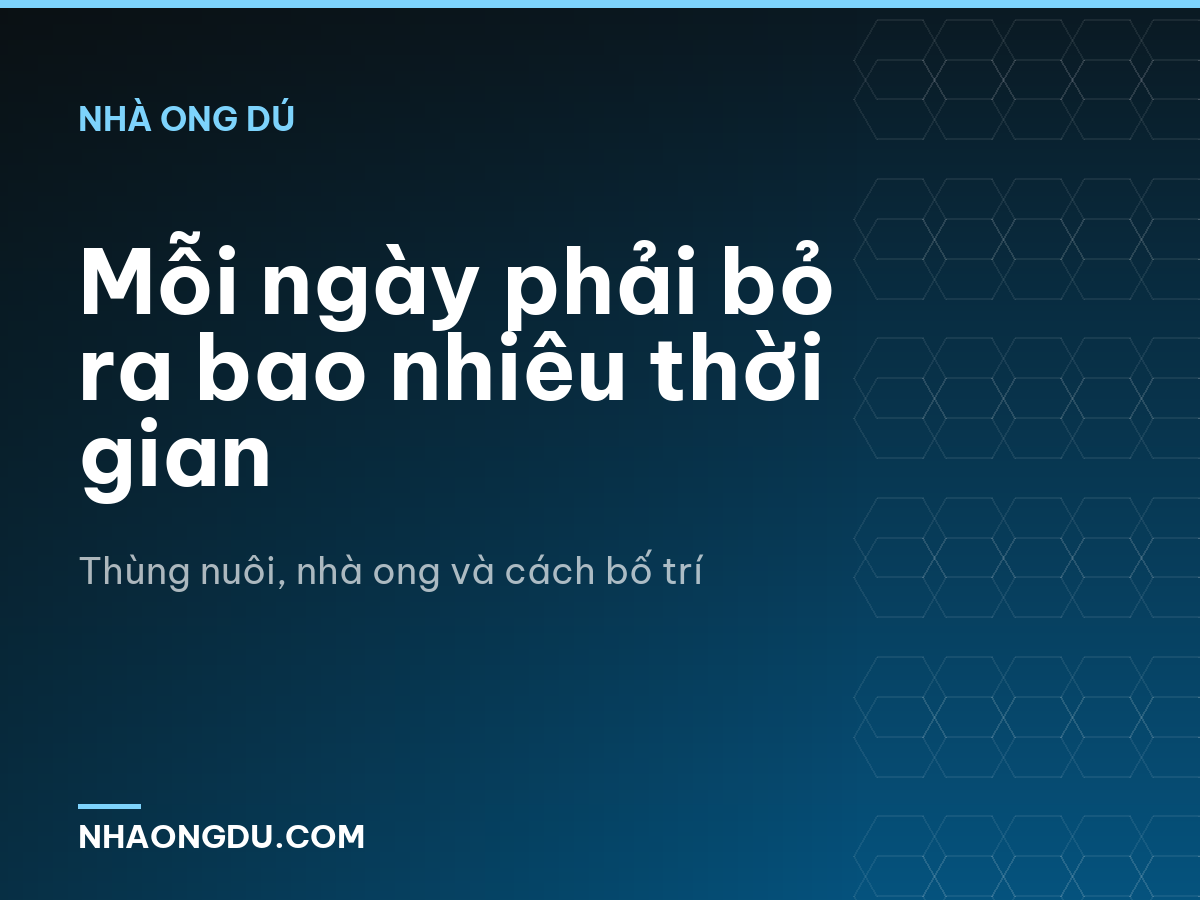 Mỗi ngày phải bỏ ra bao nhiêu thời gian