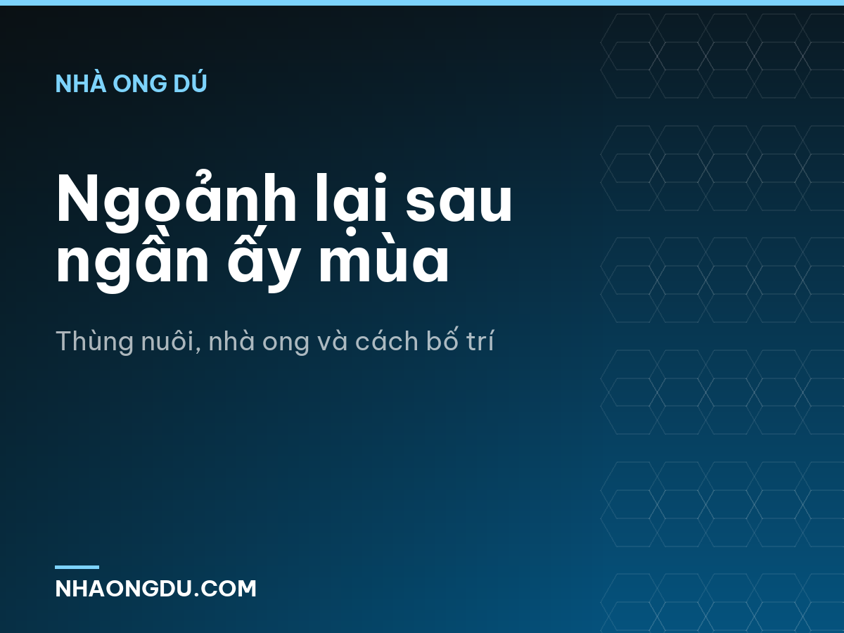 Ngoảnh lại sau ngần ấy mùa
