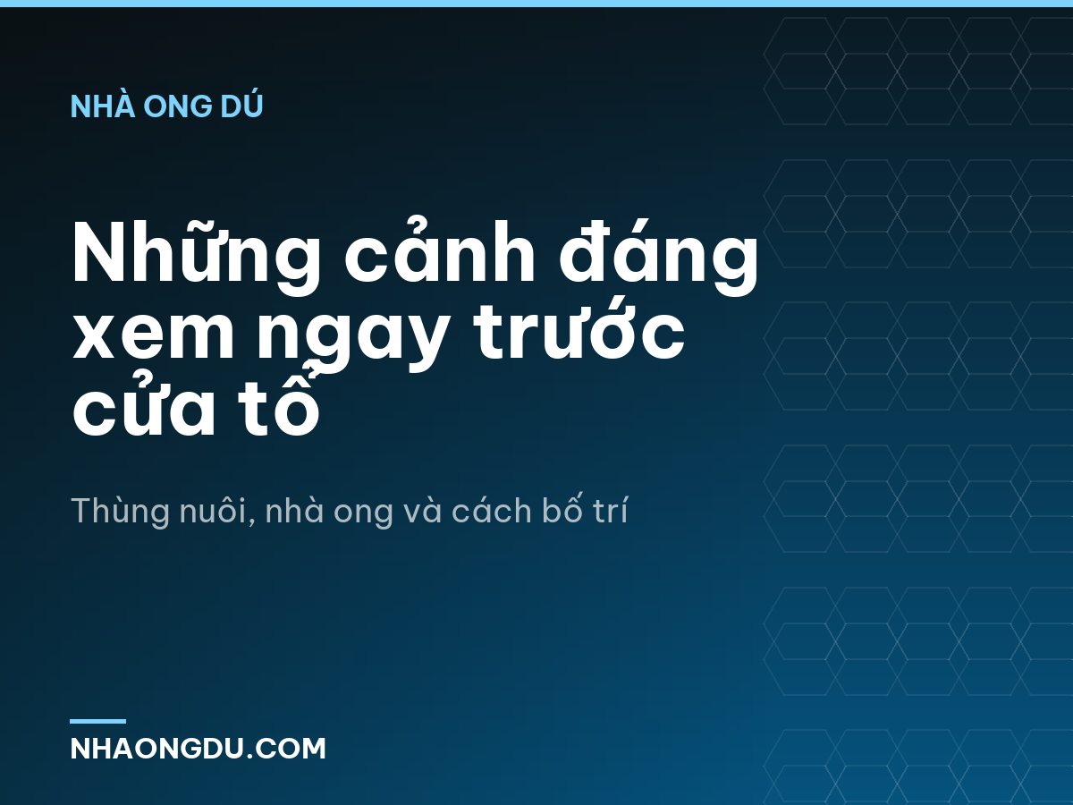 Những cảnh đáng xem ngay trước cửa tổ