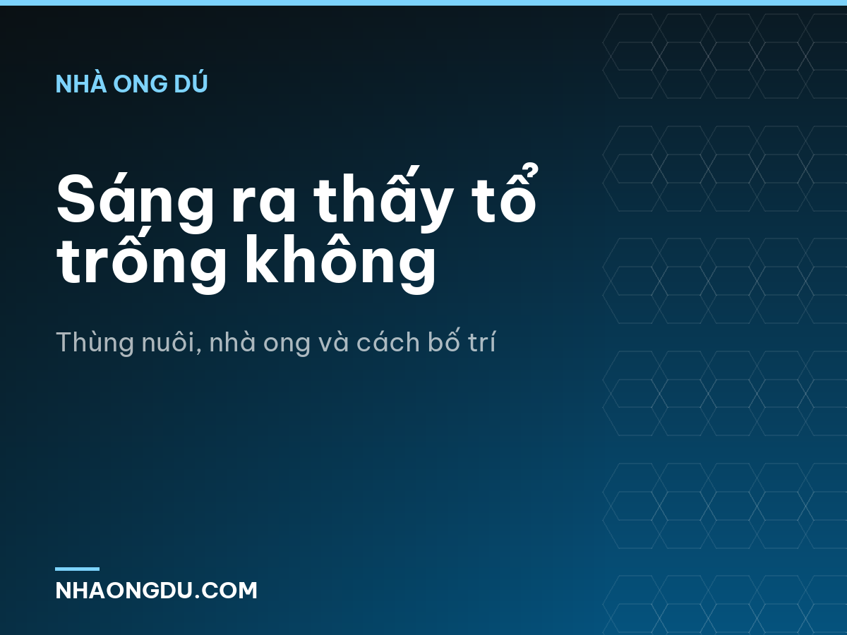 Sáng ra thấy tổ trống không