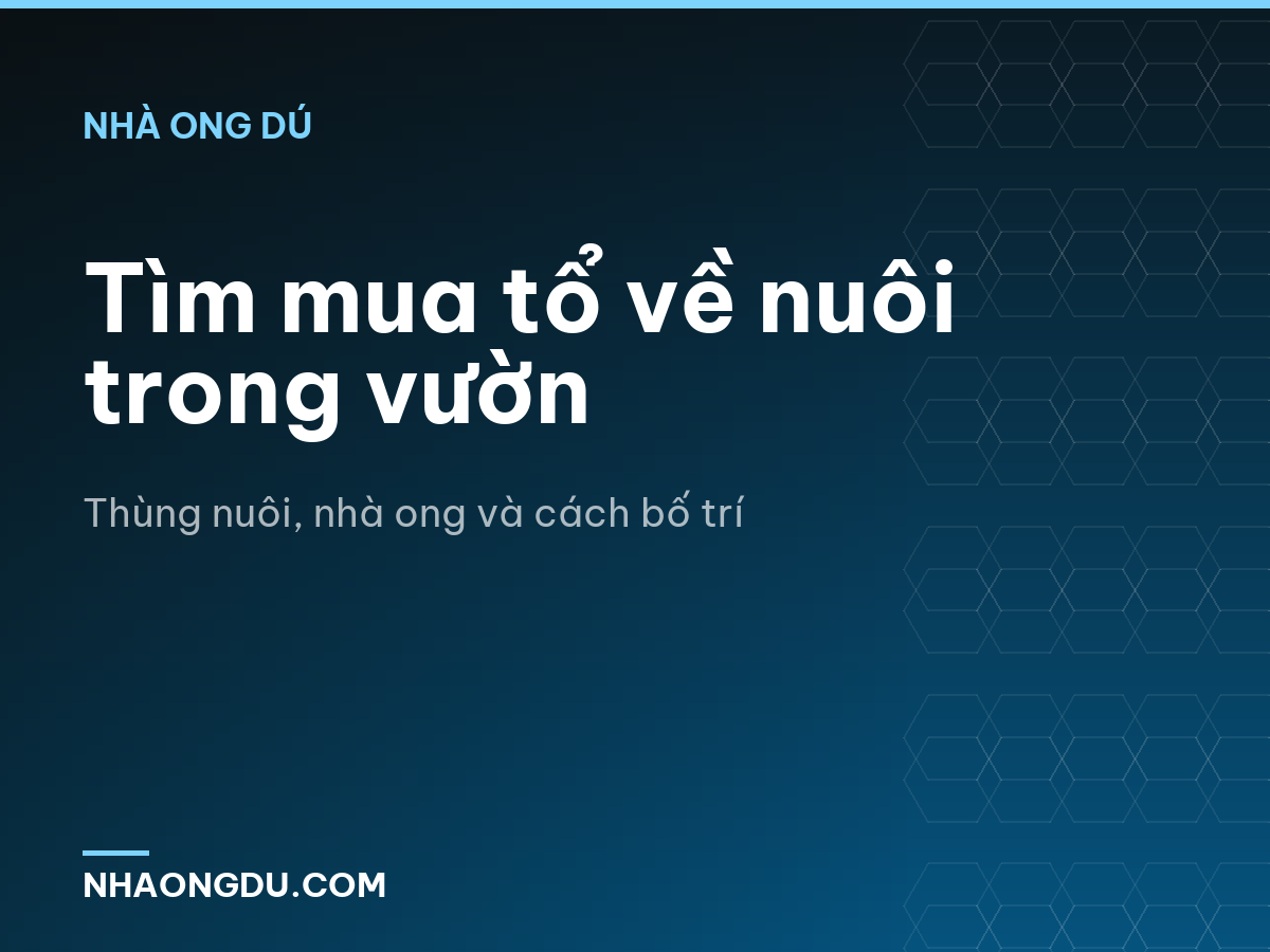 Tìm mua tổ về nuôi trong vườn