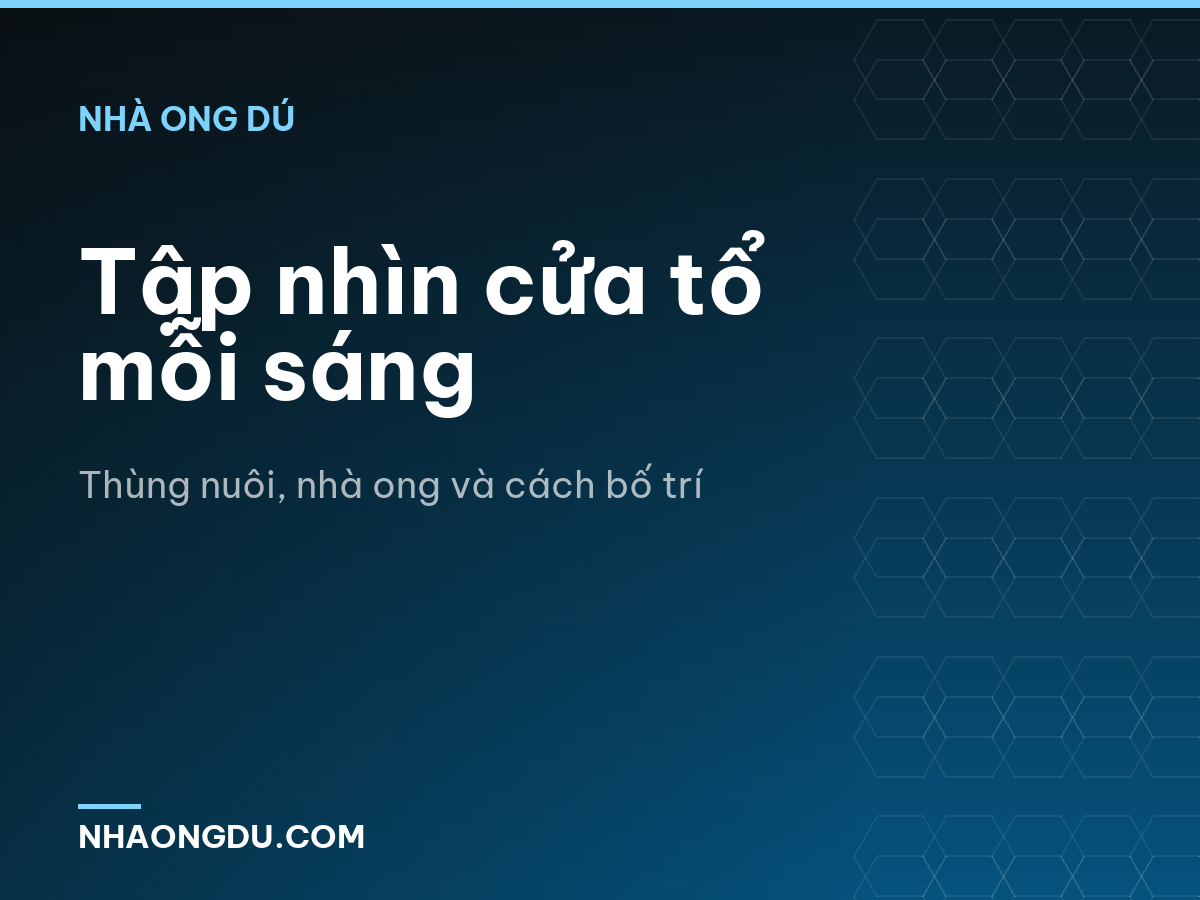 Tập nhìn cửa tổ mỗi sáng