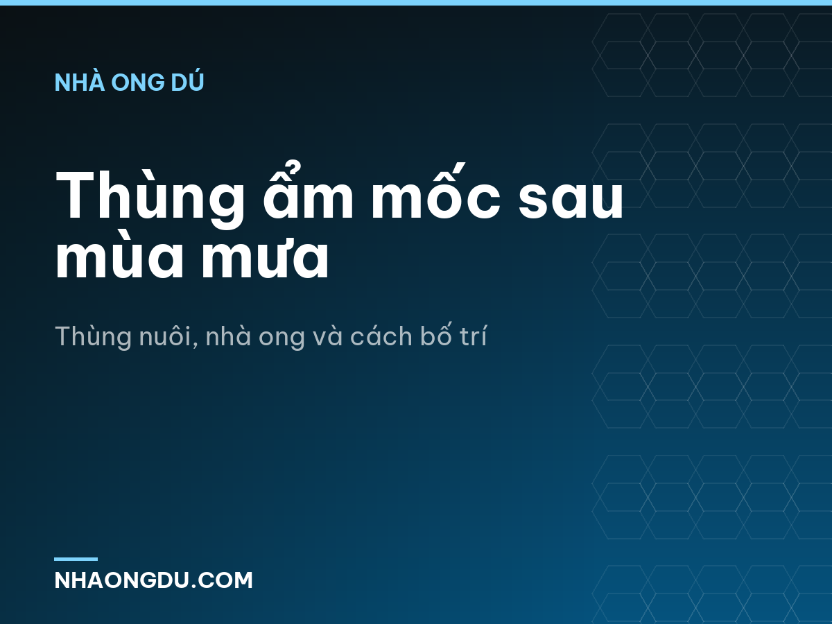 Thùng ẩm mốc sau mùa mưa