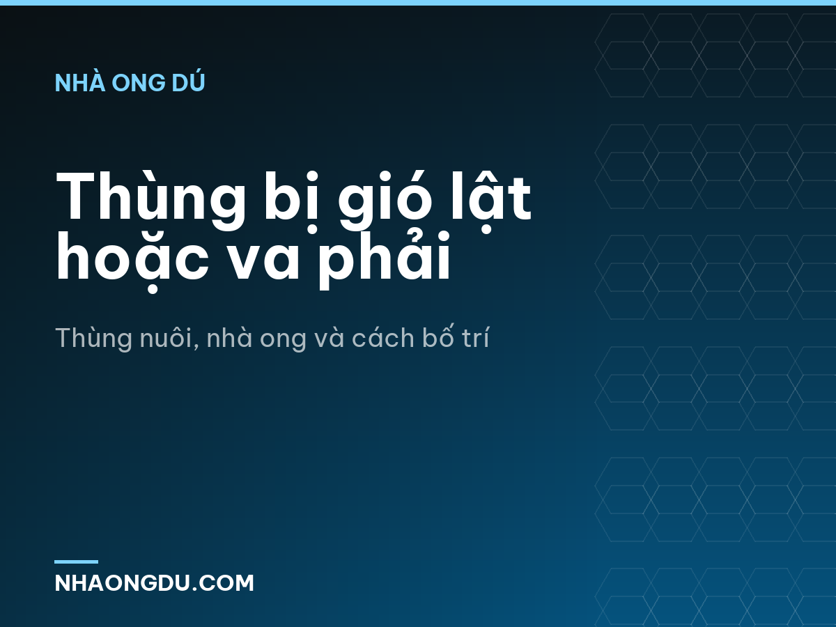Thùng bị gió lật hoặc va phải