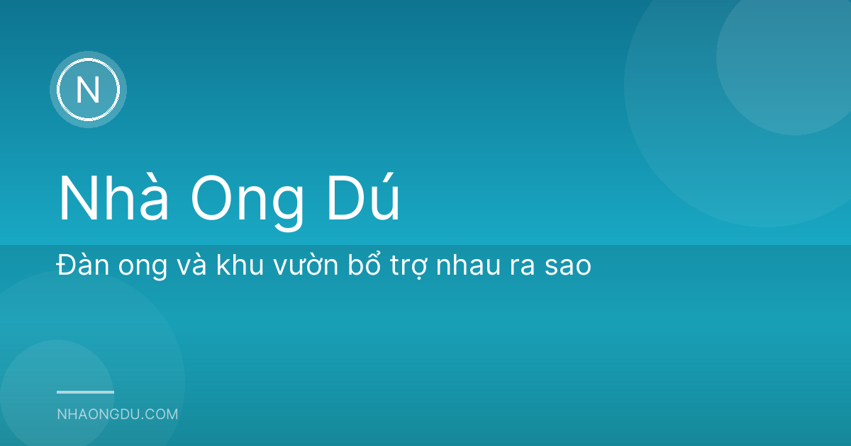 Đàn ong và khu vườn bổ trợ nhau ra sao