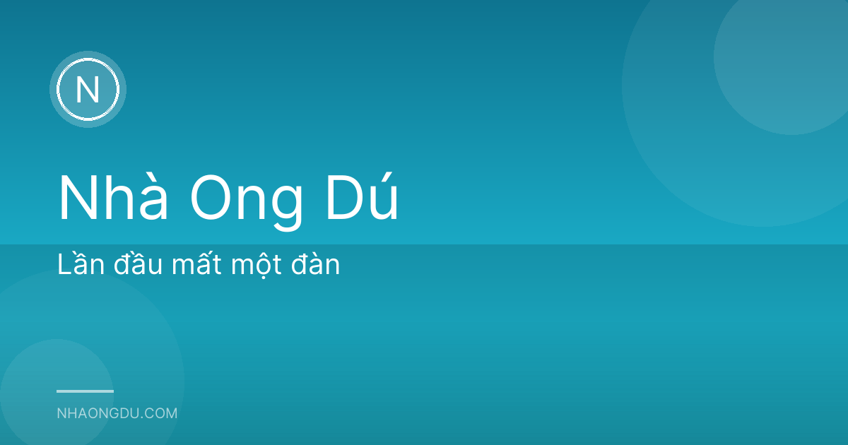 Lần đầu mất một đàn