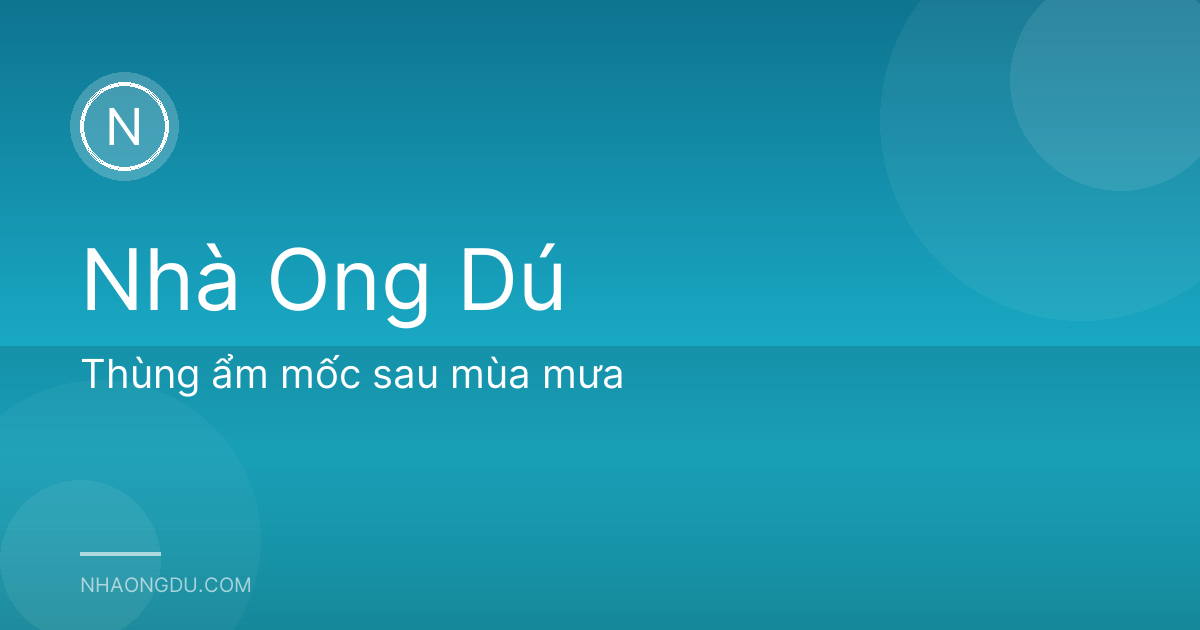 Thùng ẩm mốc sau mùa mưa