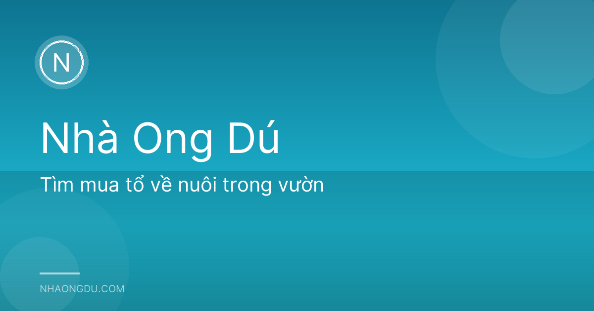 Tìm mua tổ về nuôi trong vườn