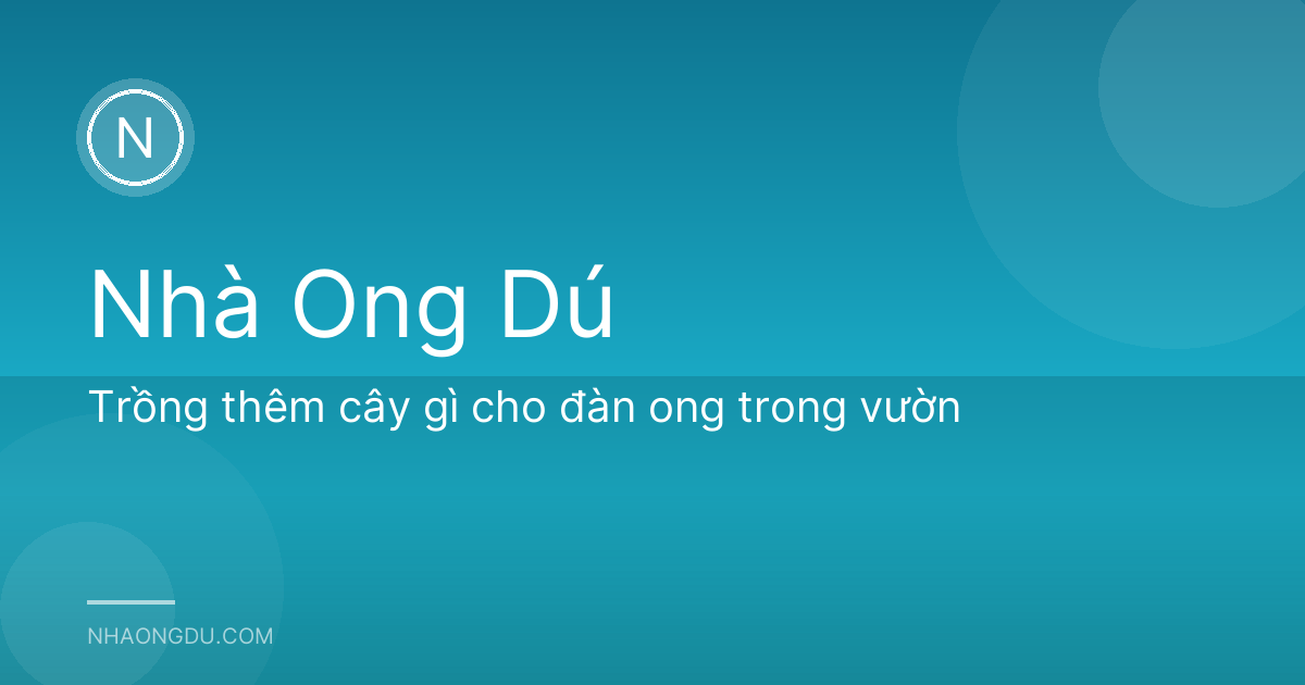 Trồng thêm cây gì cho đàn ong trong vườn